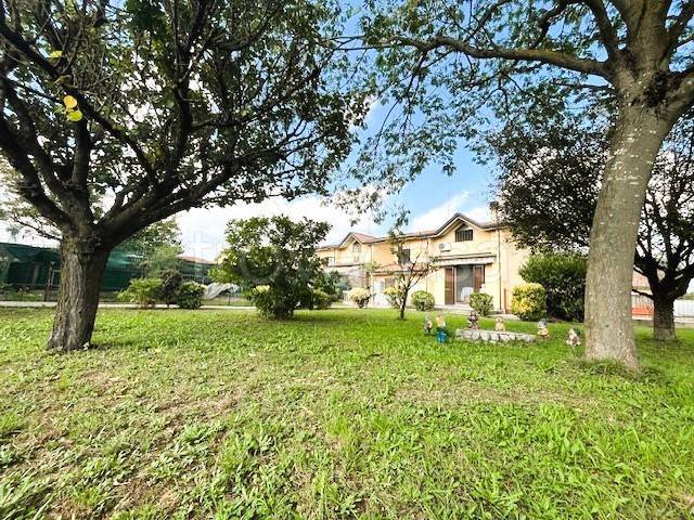 immagine annuncio 3 di 13