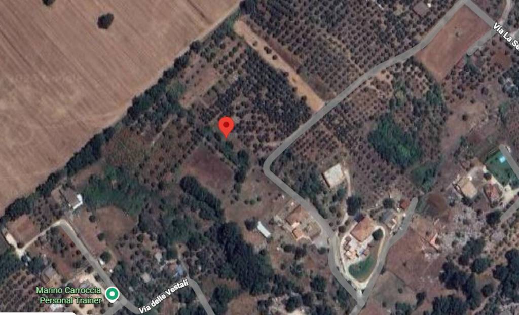 immagine annuncio 8 di 11