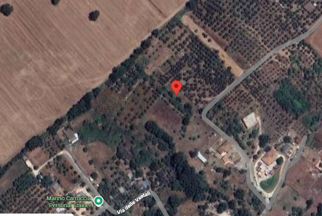 immagine annuncio 9 di 11