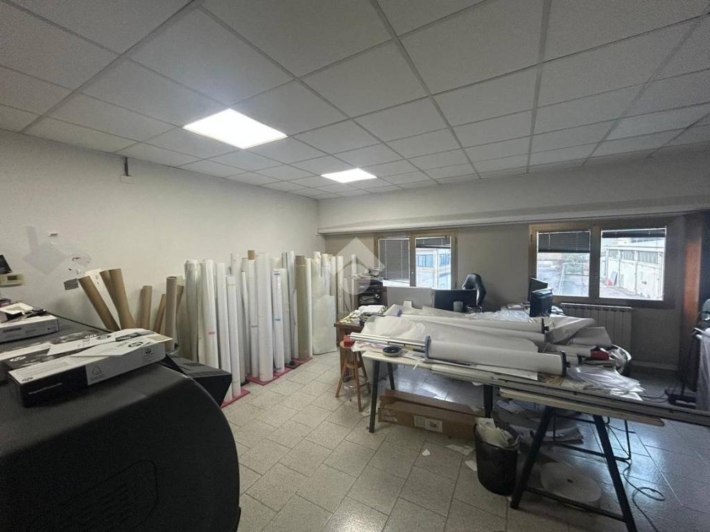 immagine annuncio 6 di 14