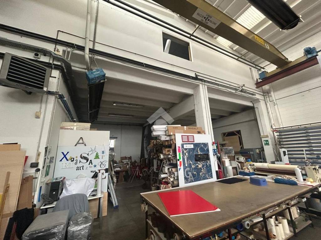 immagine annuncio 11 di 14