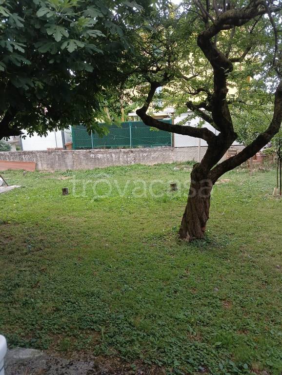 immagine annuncio 7 di 11