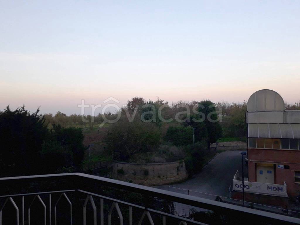 immagine annuncio 9 di 14