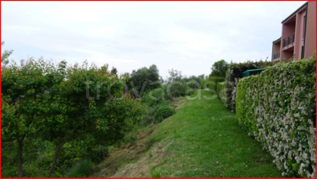 immagine annuncio 1 di 12