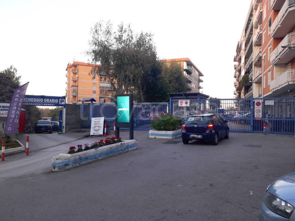 immagine annuncio 10 di 14