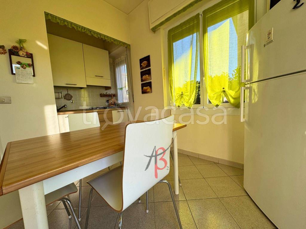 immagine annuncio 5 di 12