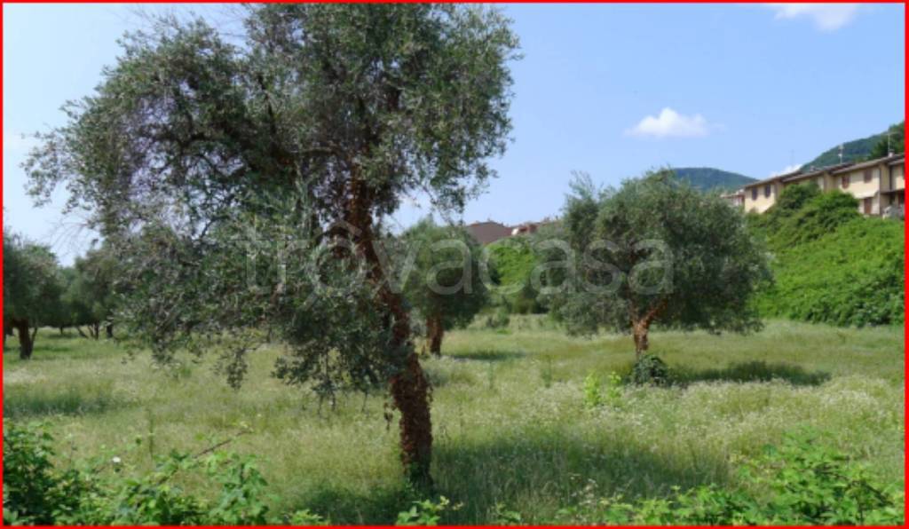 immagine annuncio 2 di 12