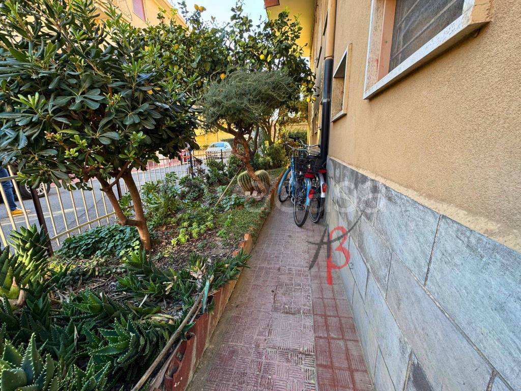 immagine annuncio 9 di 12