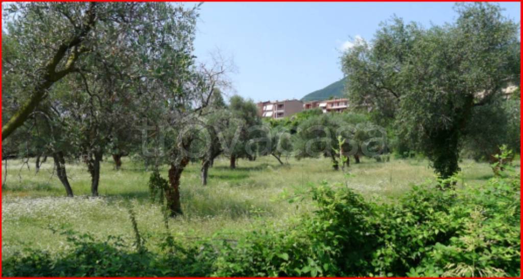 immagine annuncio 3 di 12