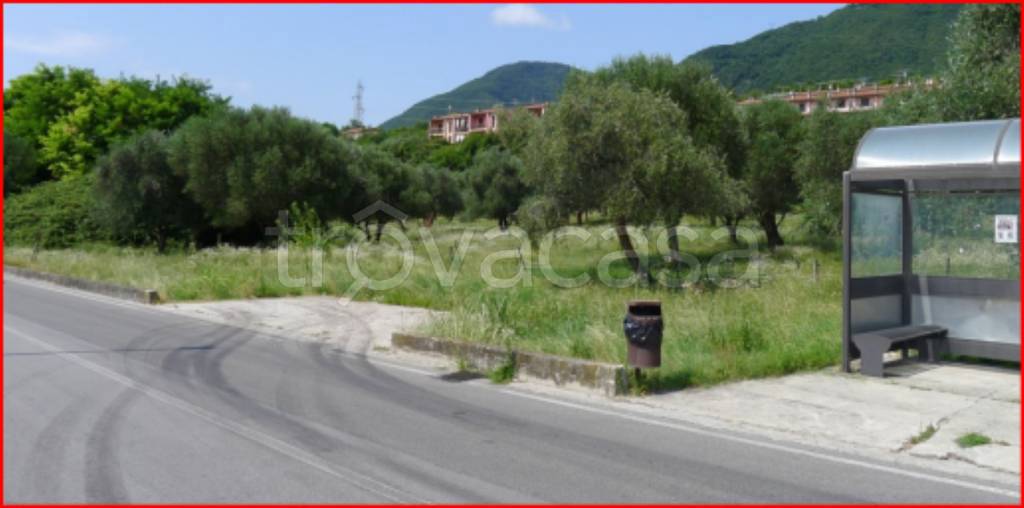 immagine annuncio 4 di 12