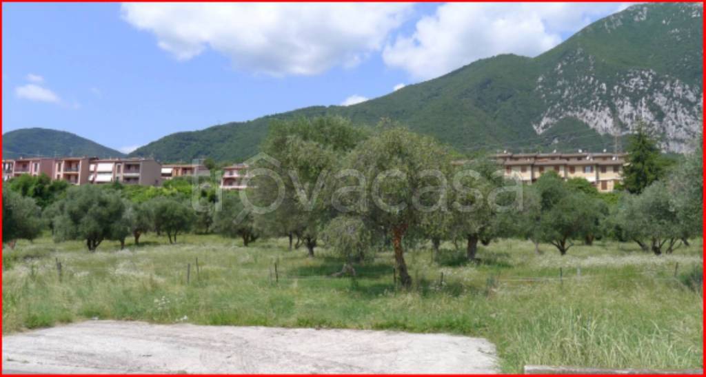 immagine annuncio 5 di 12