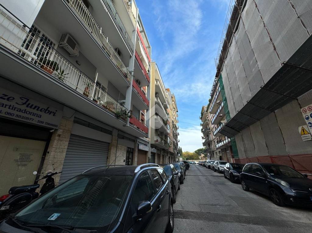 immagine annuncio 3 di 8