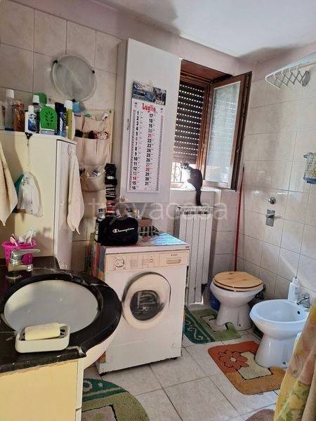 immagine annuncio 7 di 11