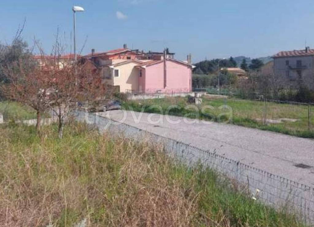 immagine annuncio 4 di 13