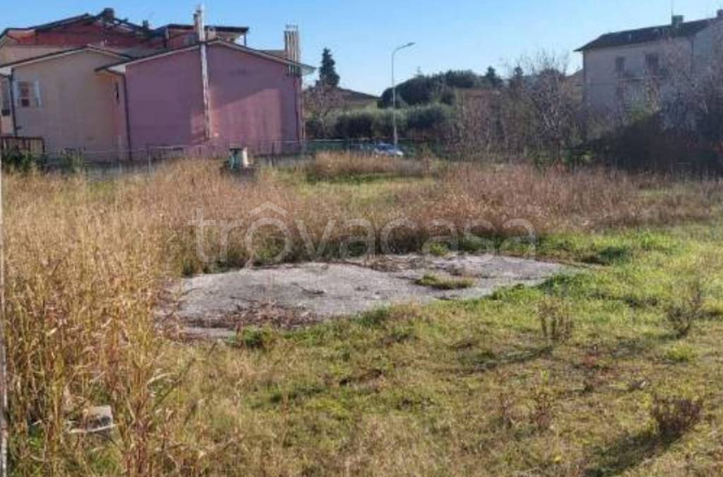 immagine annuncio 9 di 13