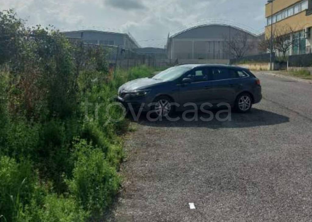 immagine annuncio 11 di 13