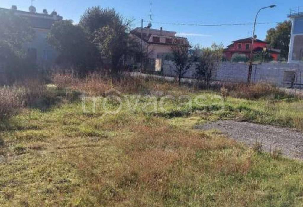 immagine annuncio 12 di 13