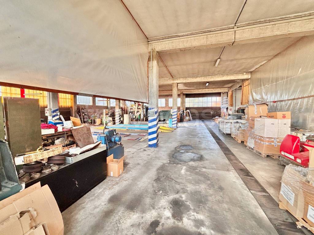 immagine annuncio 7 di 15