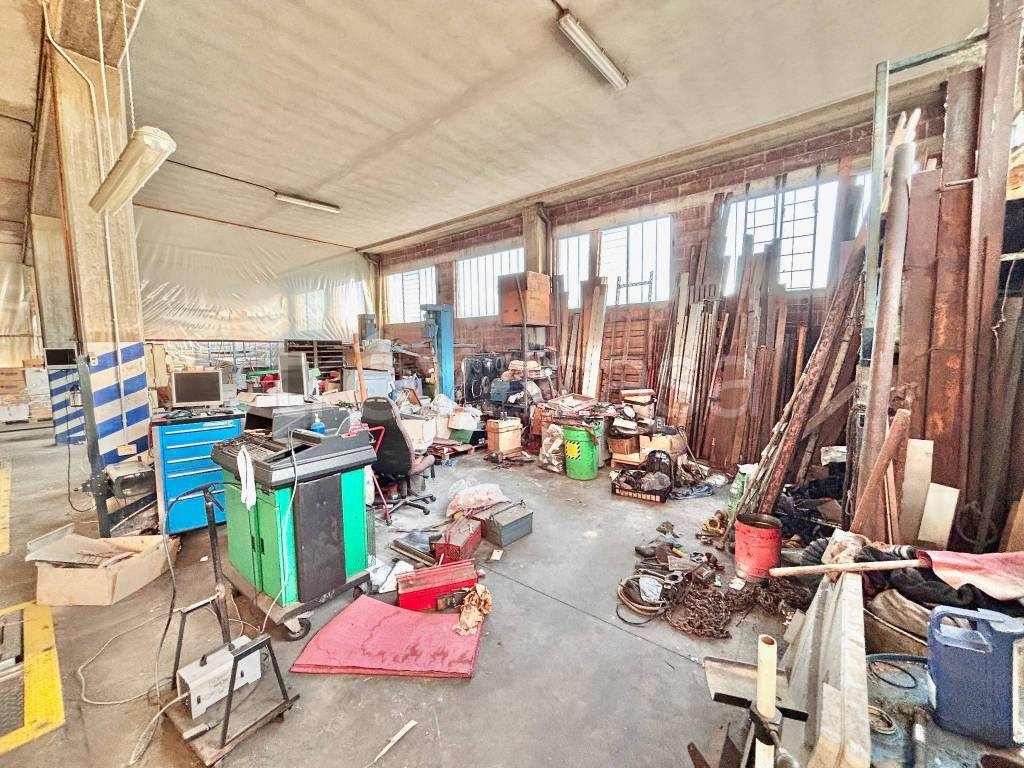 immagine annuncio 9 di 15