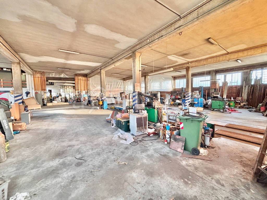 immagine annuncio 10 di 15