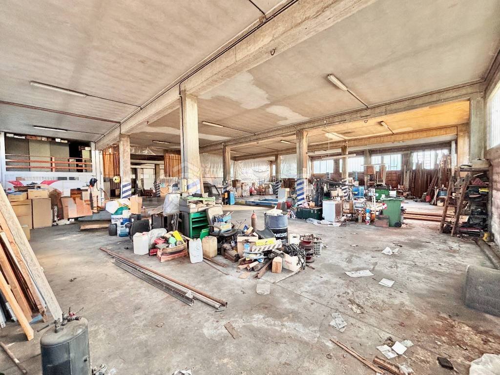 immagine annuncio 11 di 15