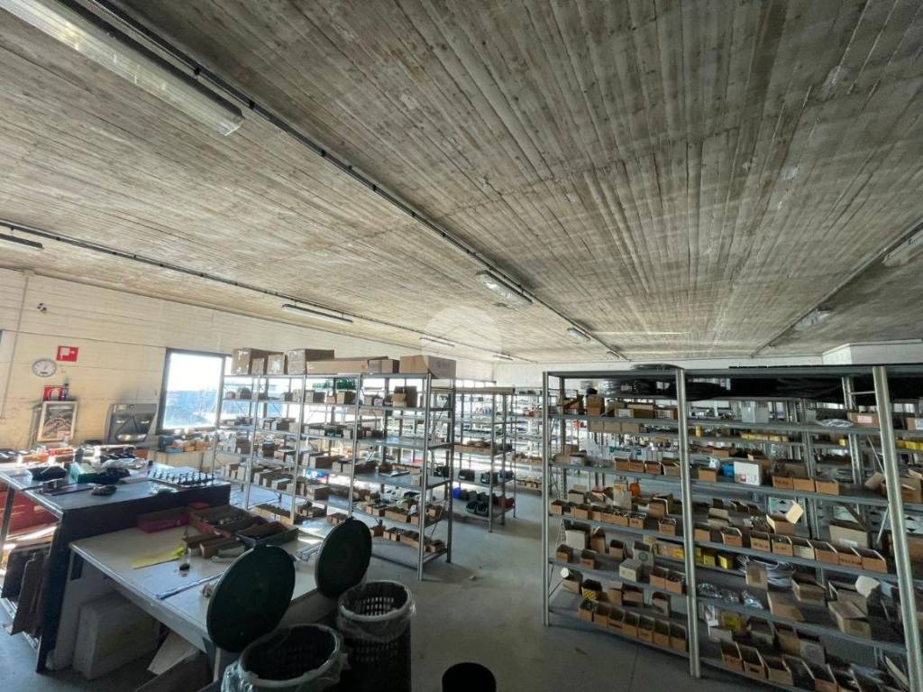 immagine annuncio 12 di 15