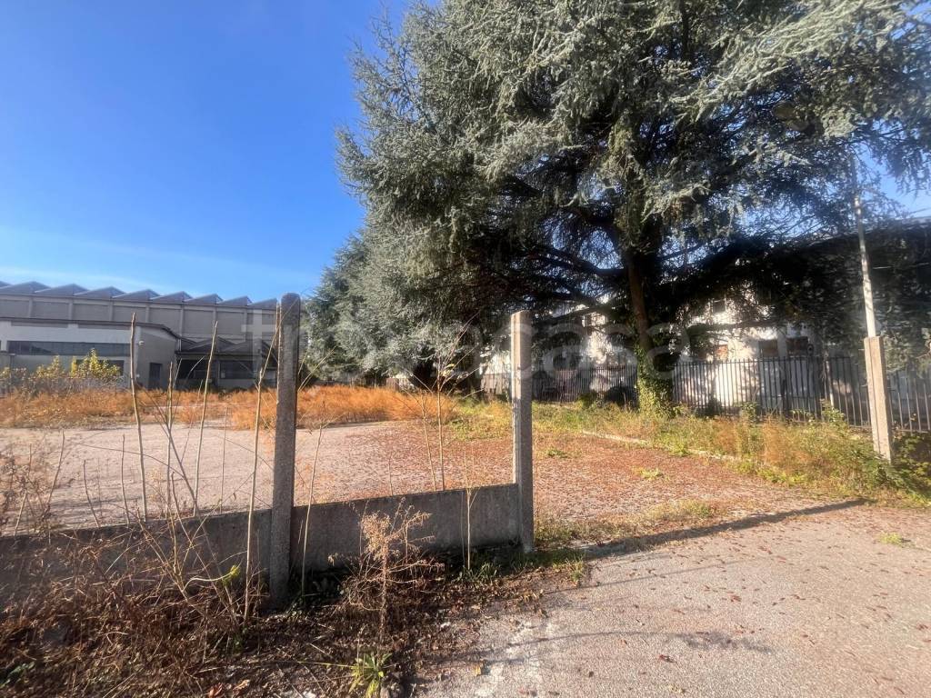 immagine annuncio 13 di 14