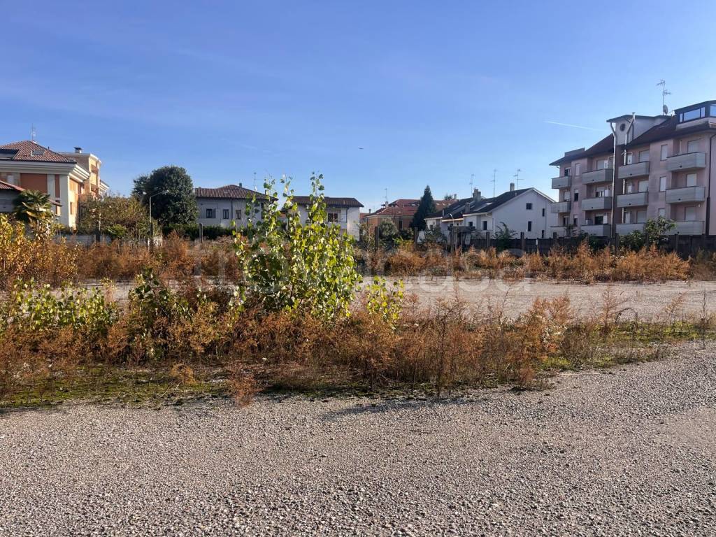 immagine annuncio 10 di 14