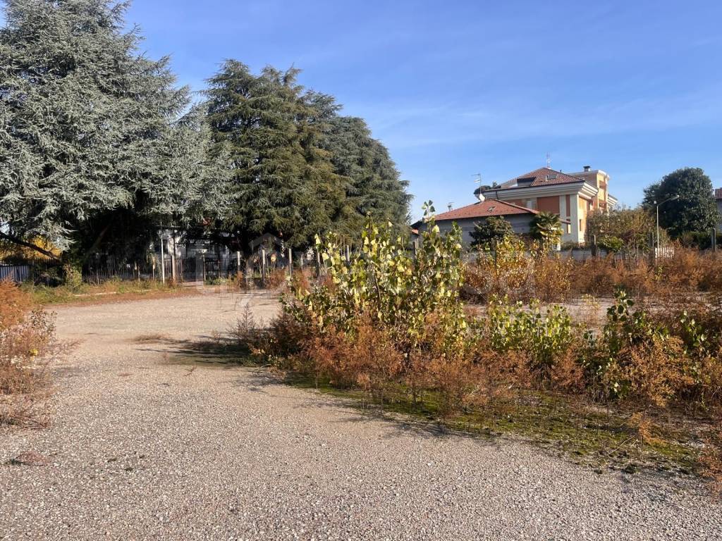 immagine annuncio 11 di 14