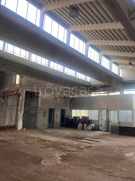 immagine annuncio 4 di 14