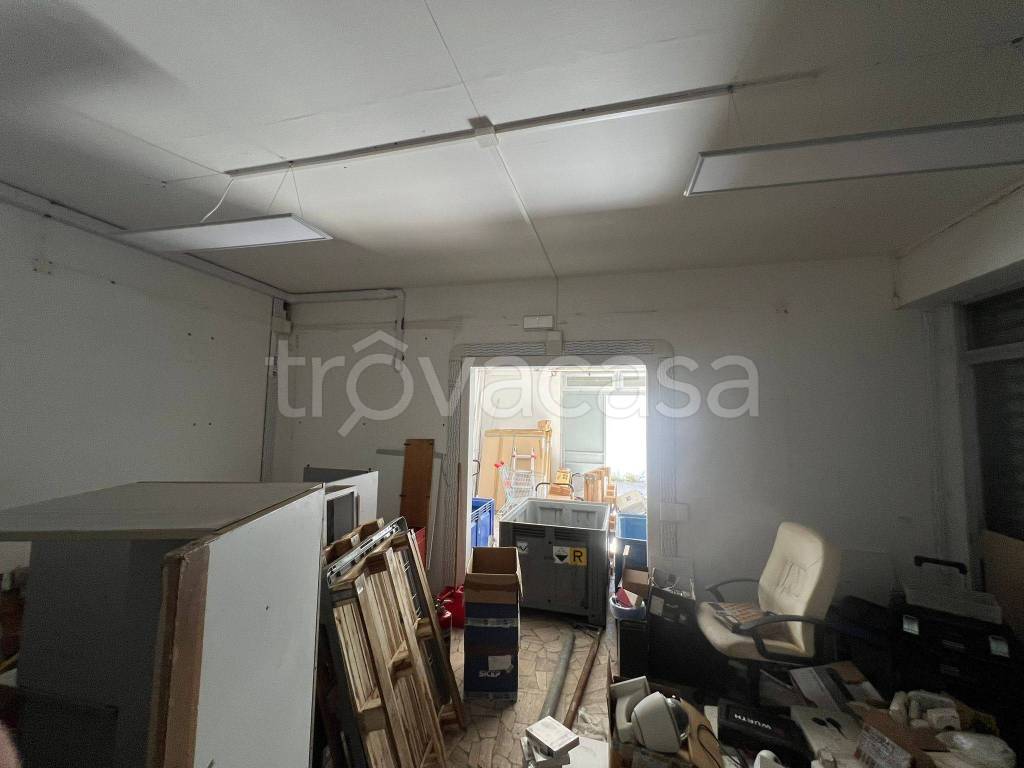 immagine annuncio 6 di 14