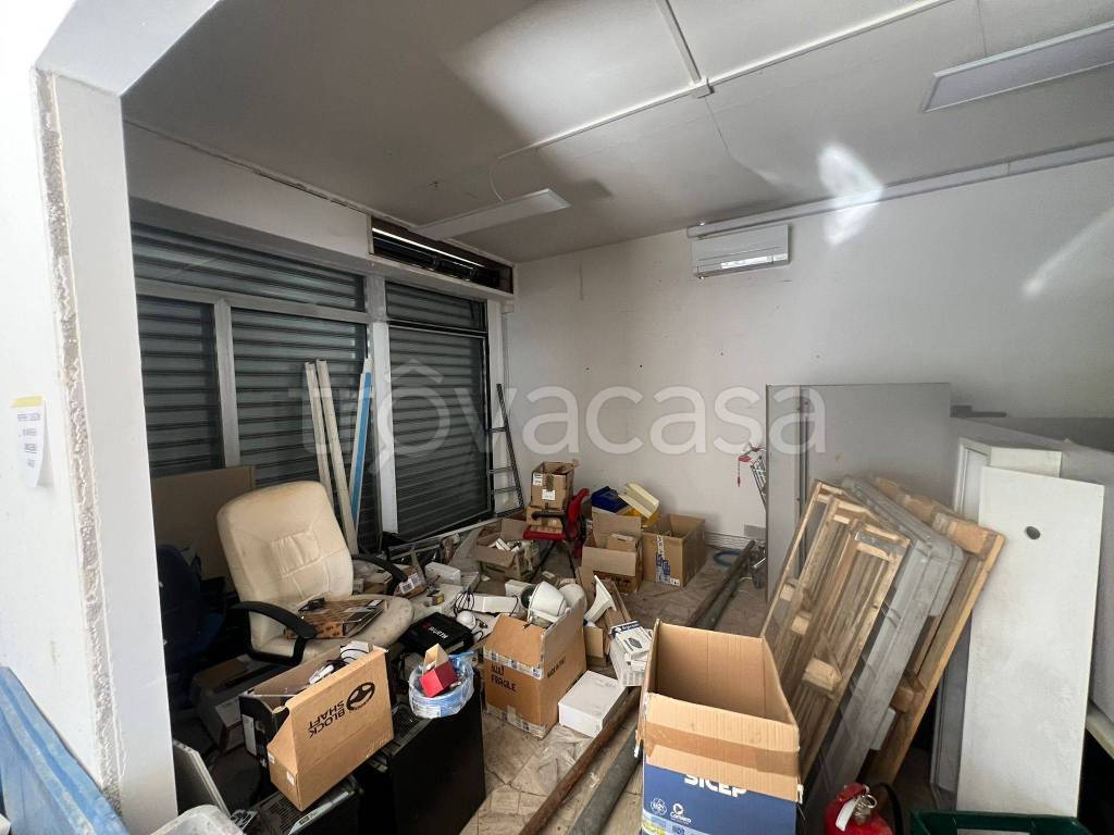 immagine annuncio 7 di 14