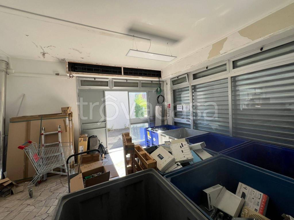 immagine annuncio 9 di 14