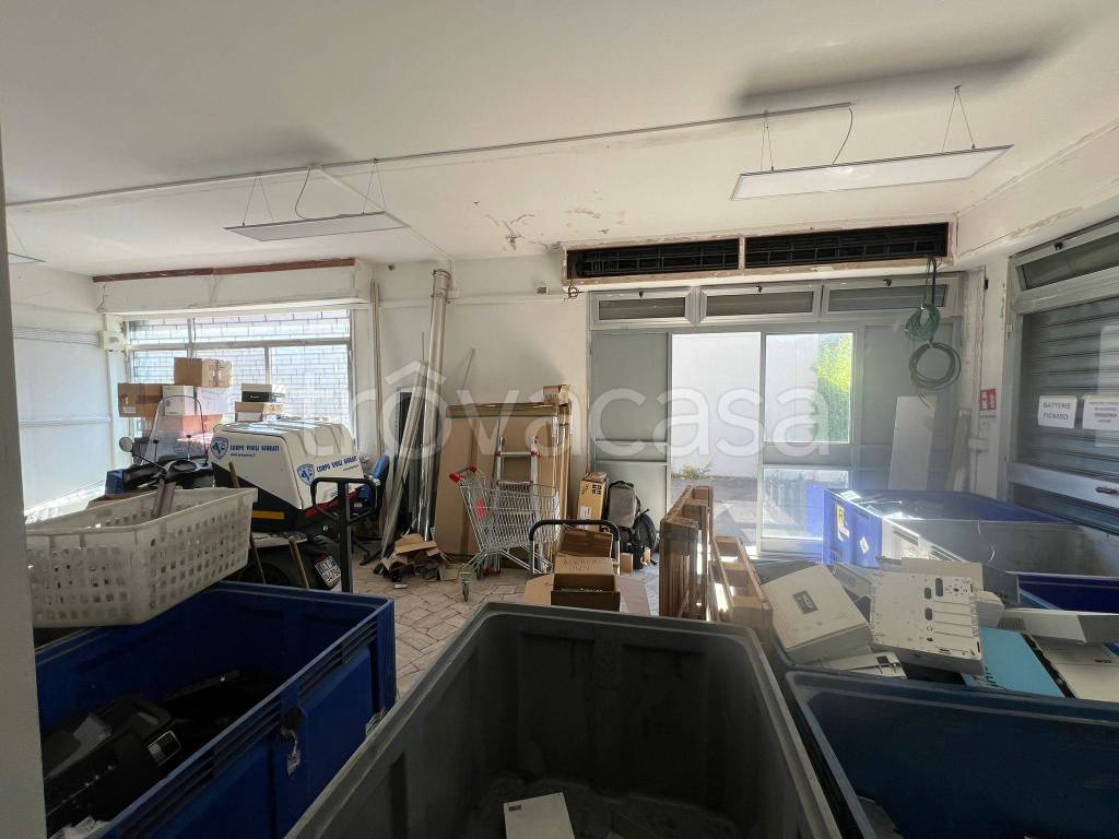 immagine annuncio 12 di 14