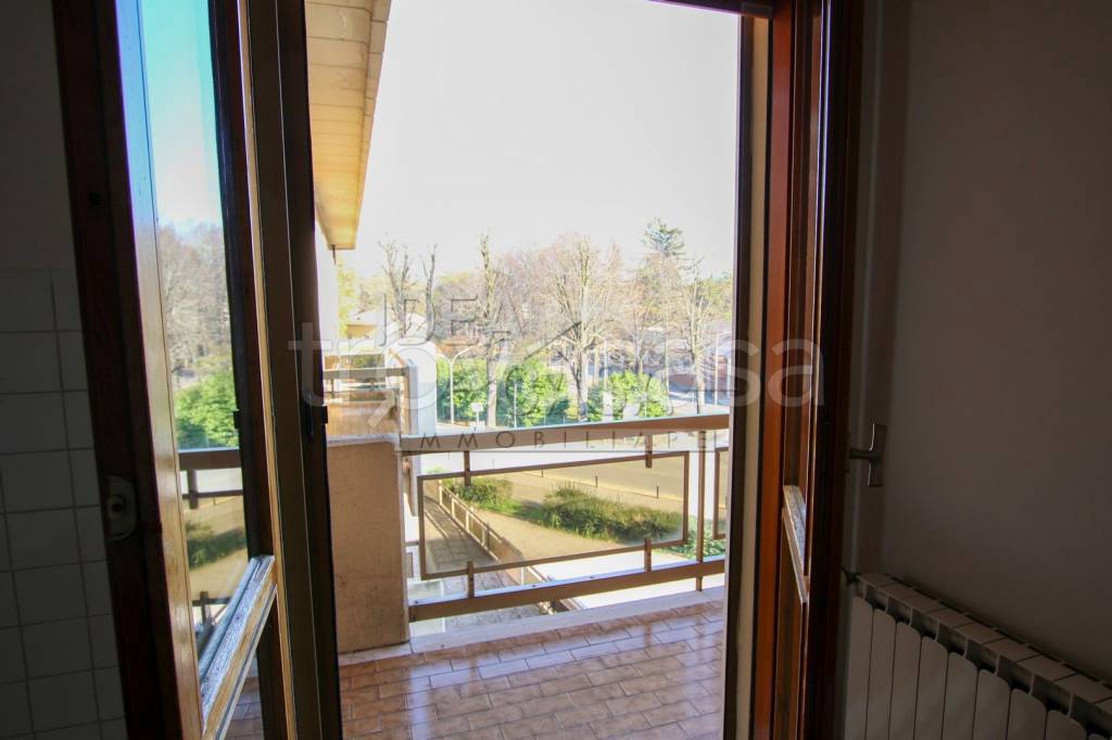 immagine annuncio 6 di 14