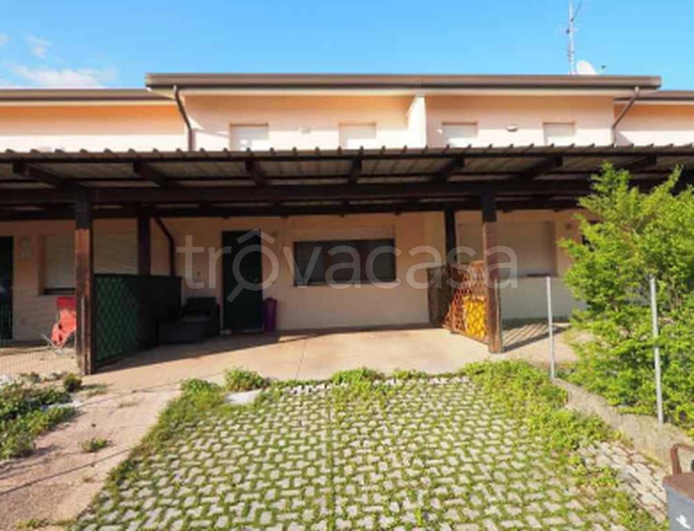 immagine annuncio 12 di 14