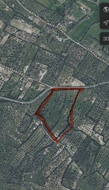 immagine annuncio 4 di 8