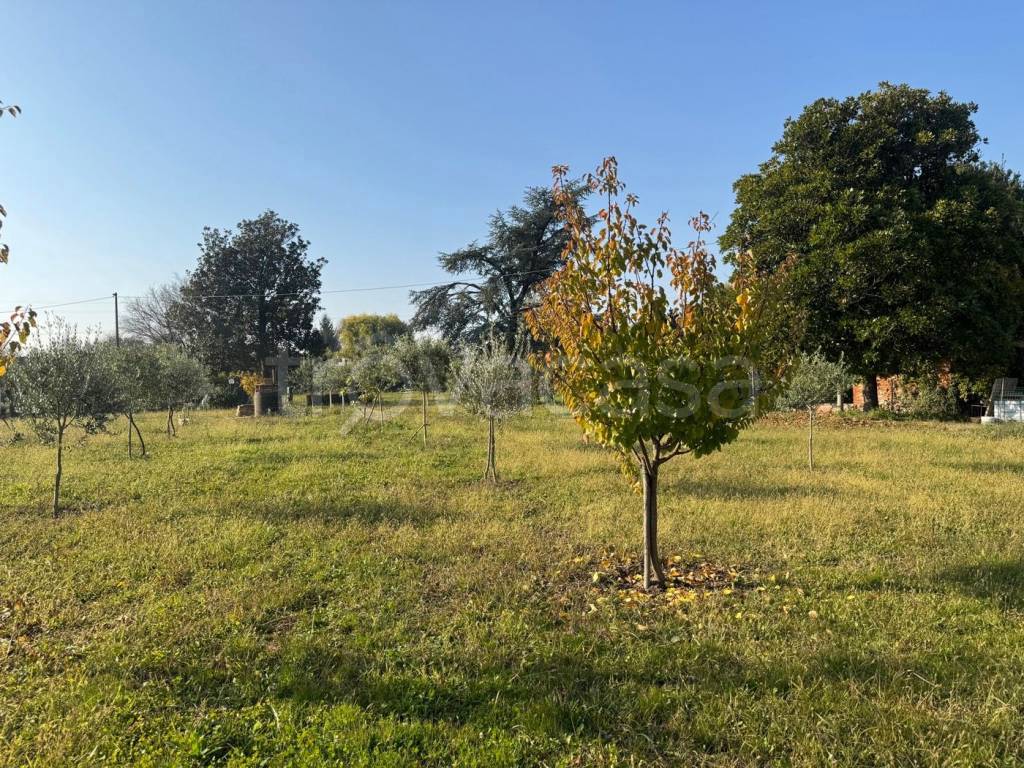 immagine annuncio 2 di 8