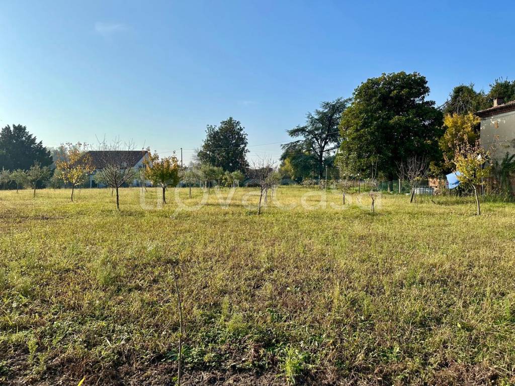 immagine annuncio 4 di 8