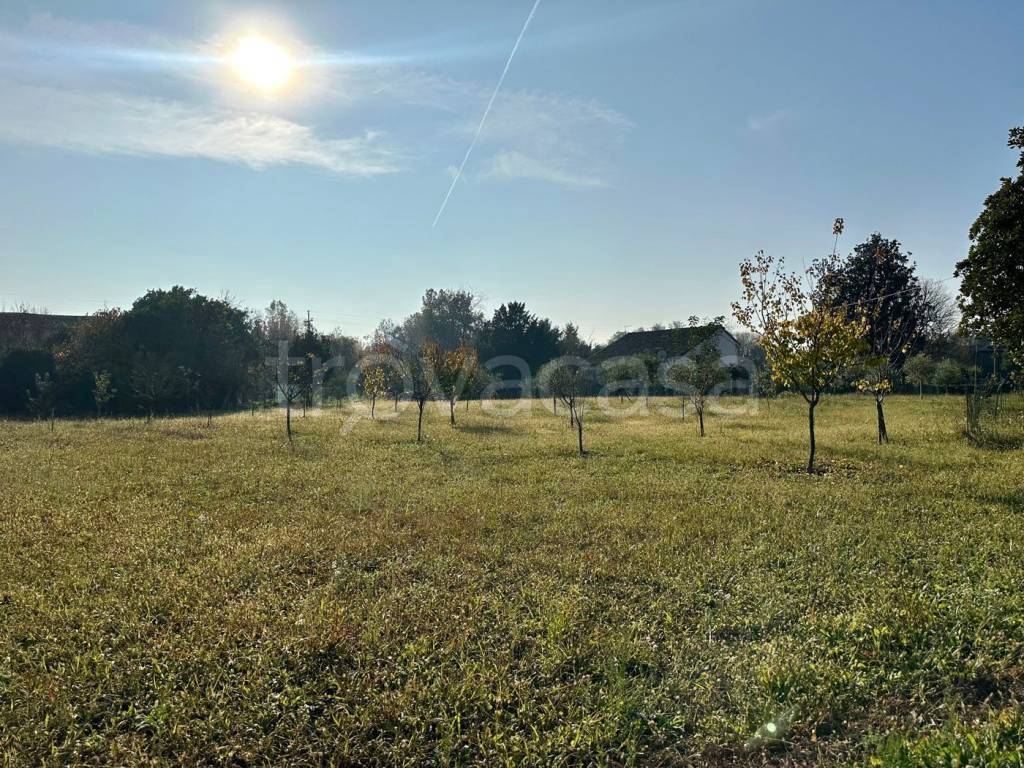 immagine annuncio 5 di 8