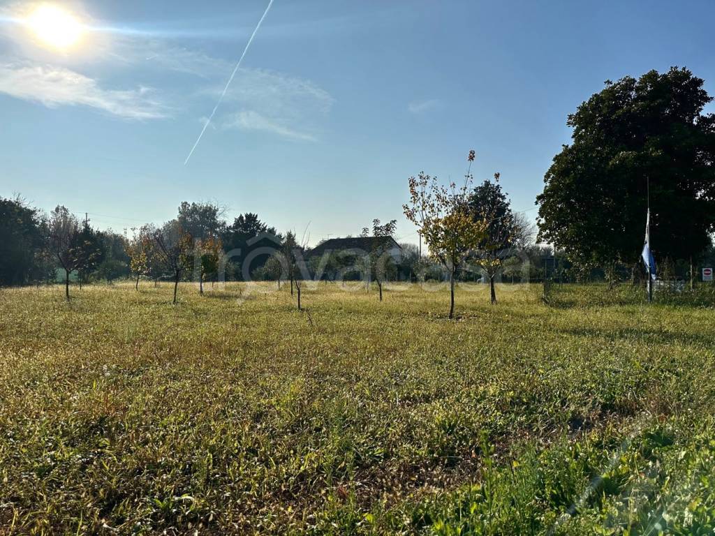 immagine annuncio 6 di 8