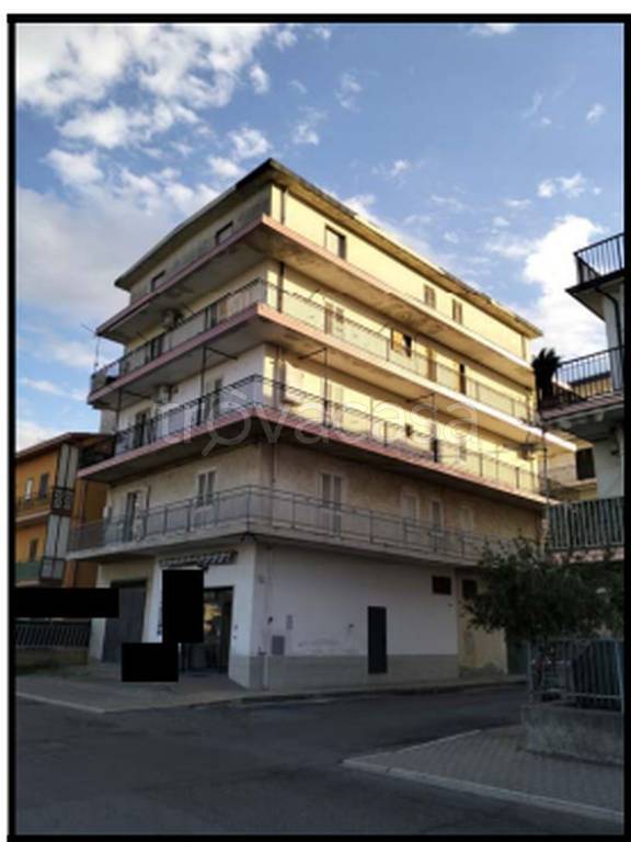 immagine annuncio 2 di 12