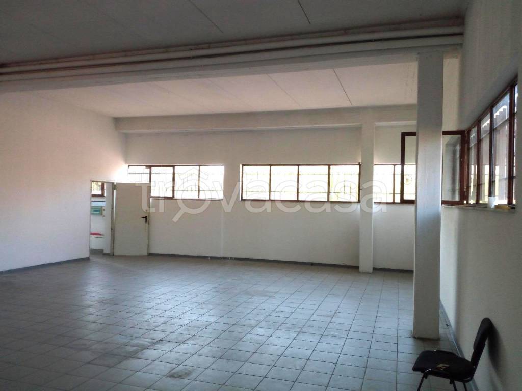 immagine annuncio 4 di 9