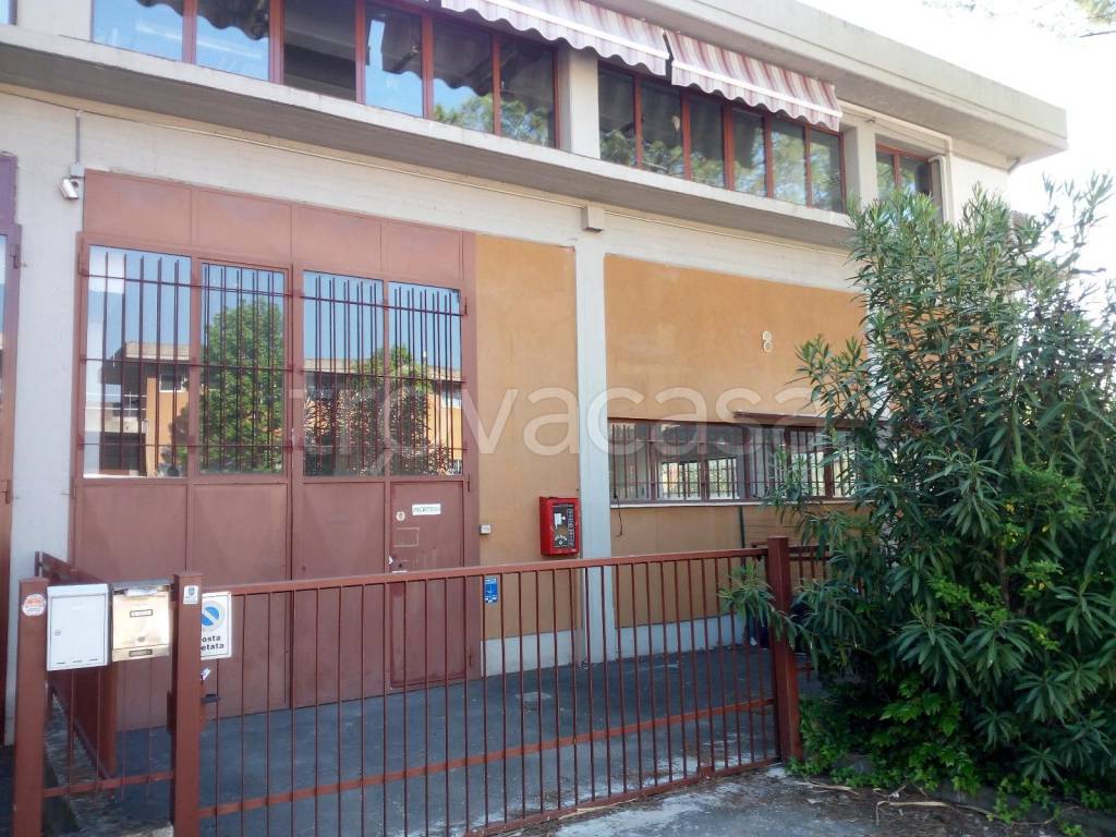 immagine annuncio 5 di 9