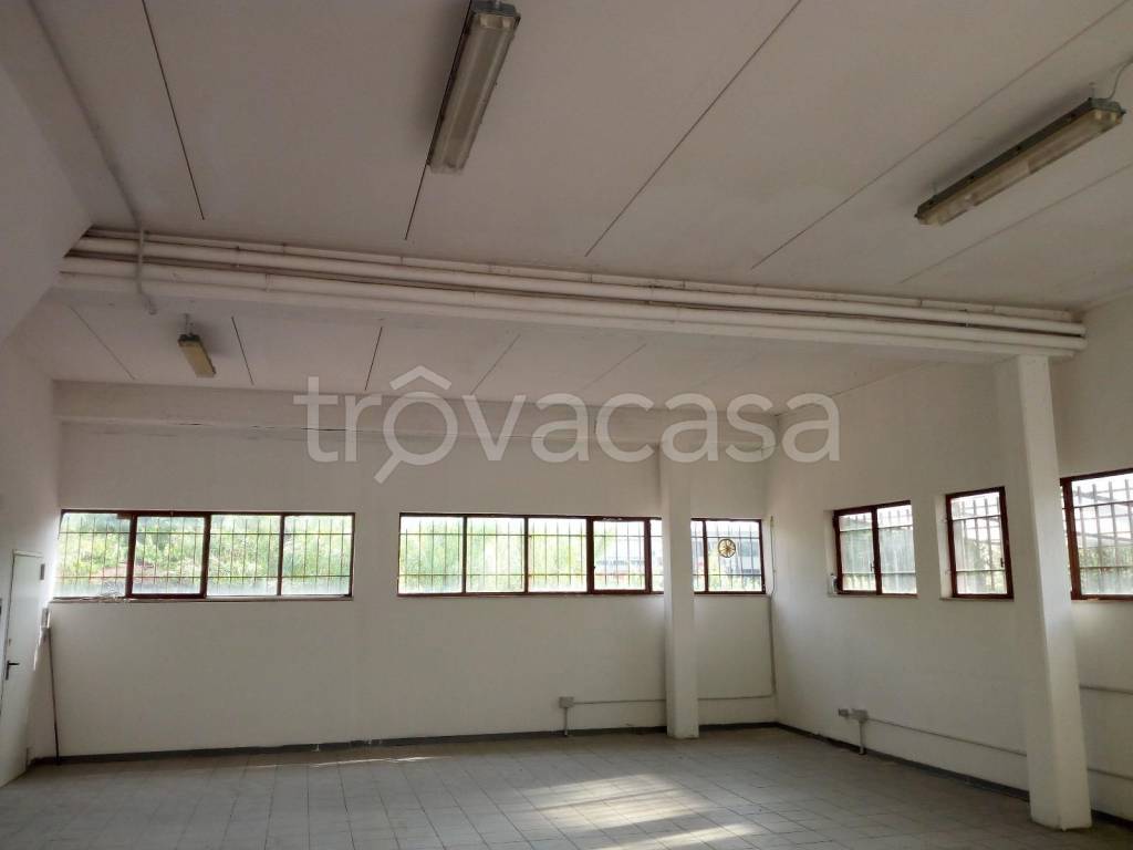 immagine annuncio 1 di 9