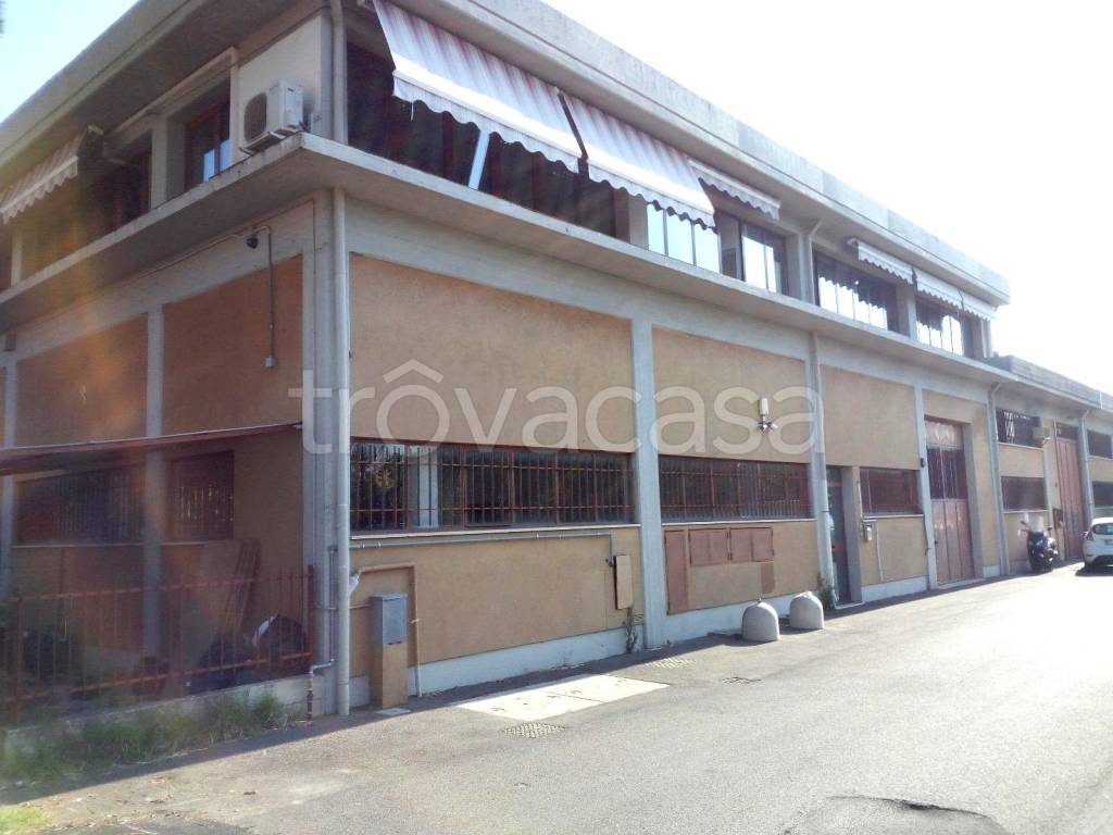 immagine annuncio 6 di 9