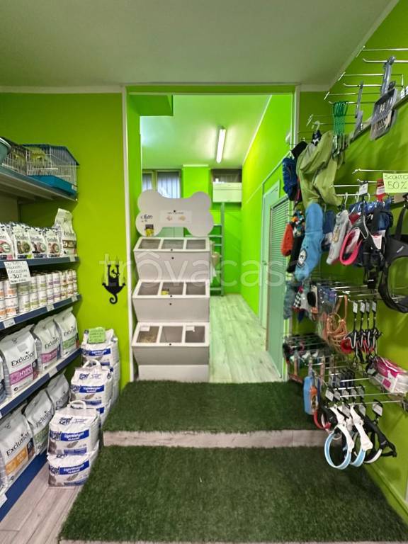 immagine annuncio 4 di 12