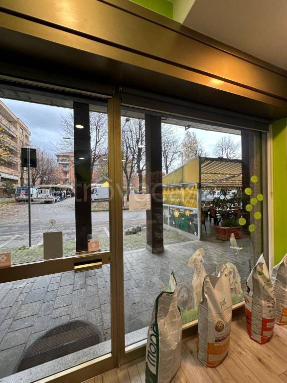 immagine annuncio 5 di 12