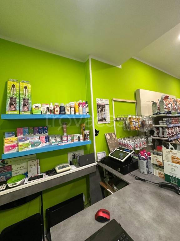 immagine annuncio 1 di 12