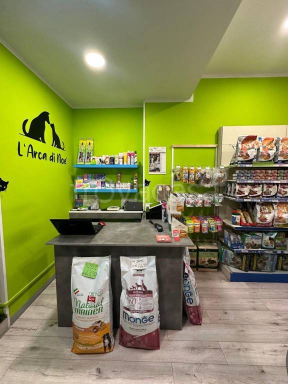 immagine annuncio 3 di 12